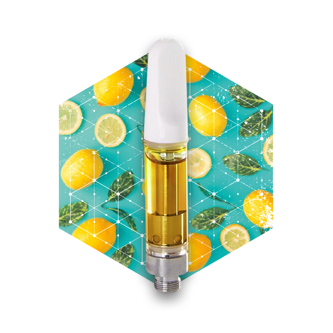 Photograph of product: Lemon Slushie (S)