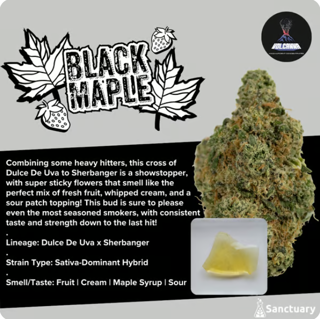 Photograph of product: Black Maple Shatter | 0.5g - Sanctuary