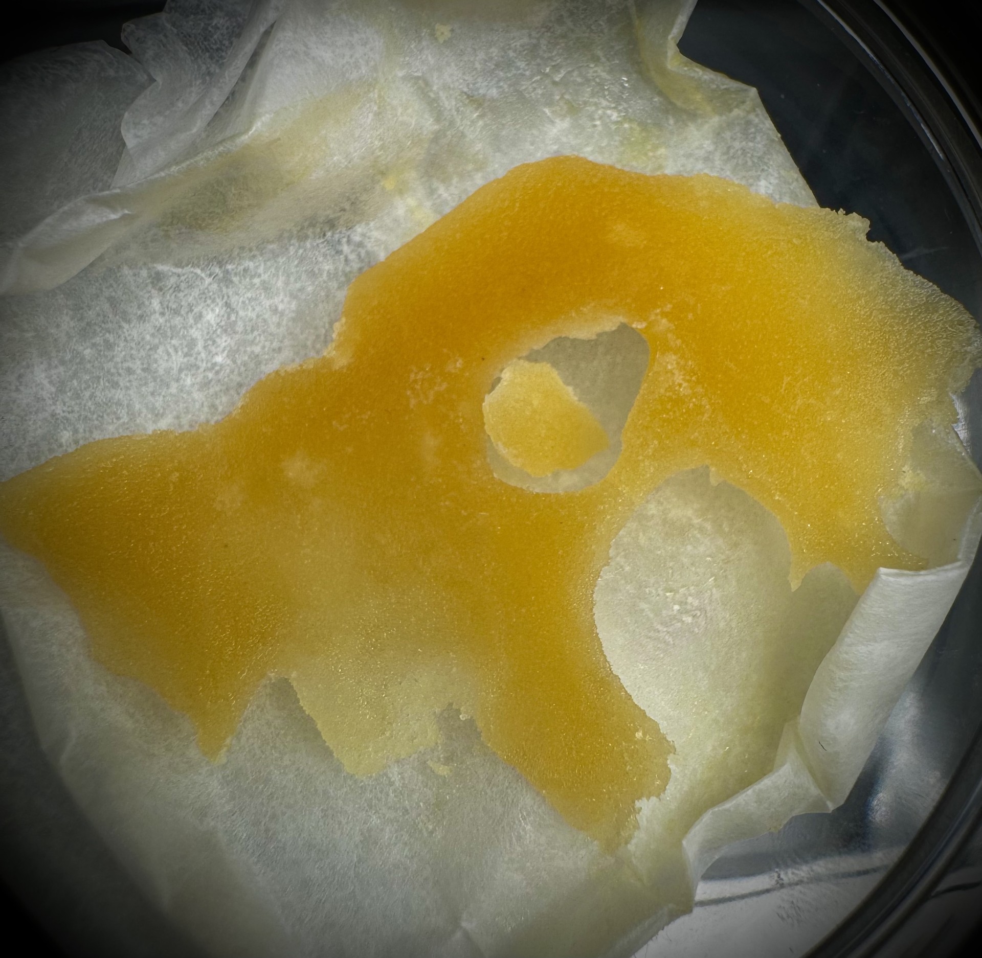 Photograph of product: Gold Coast Shatter | Hybrid