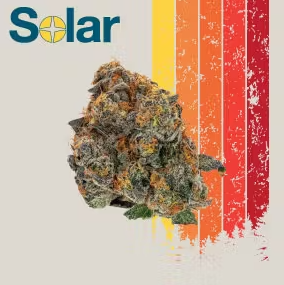 Photograph of product: Sherb Cake (IH) - 3.5g - Solar Therapeutics
