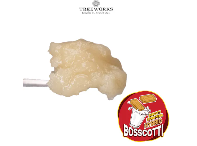 Photograph of product: Treeworks Bosscotti Live au chocolat Rosin