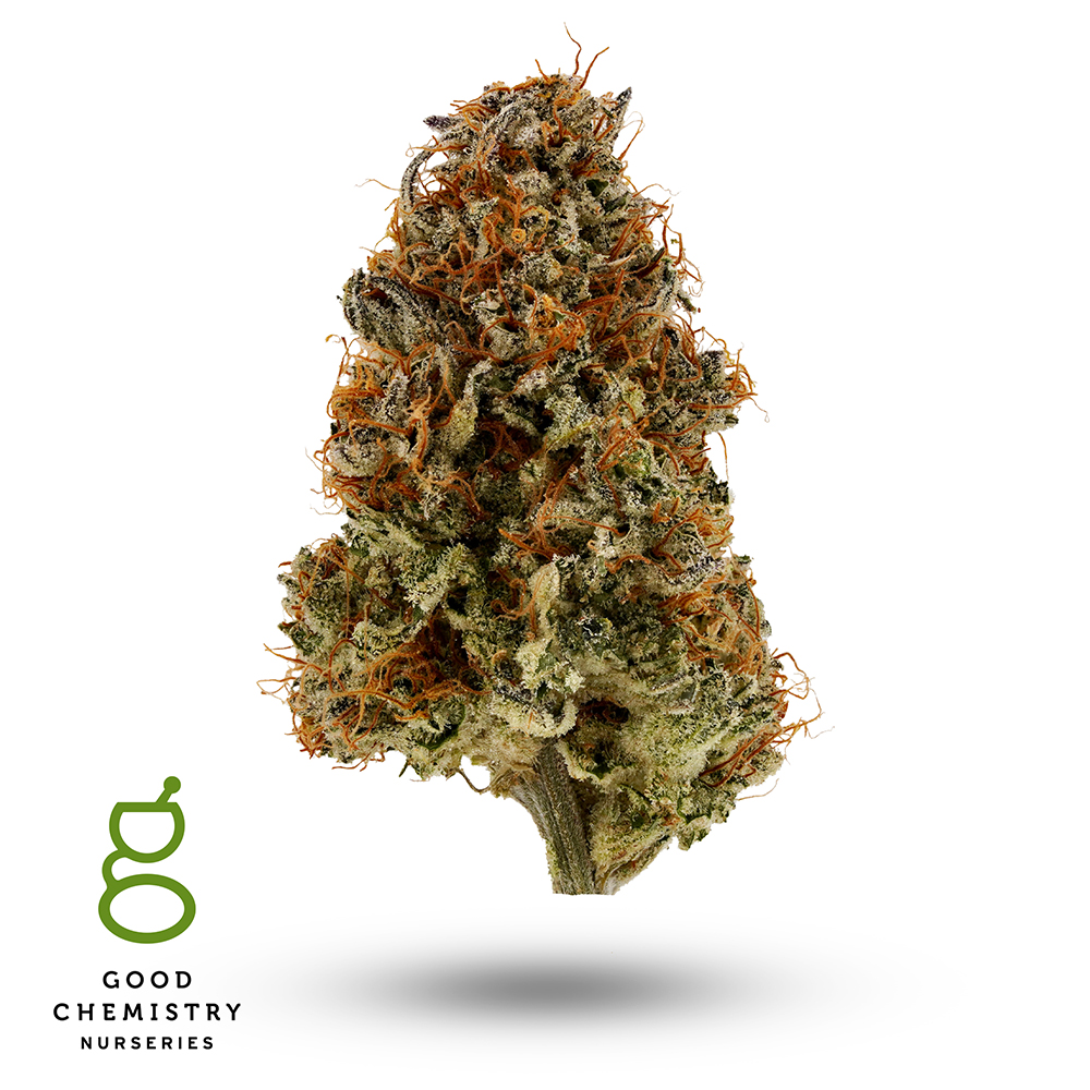 Photograph of product: APEX - 28g