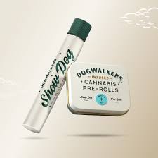 Photograph of Product: Cookie Face x Area 41 1pk