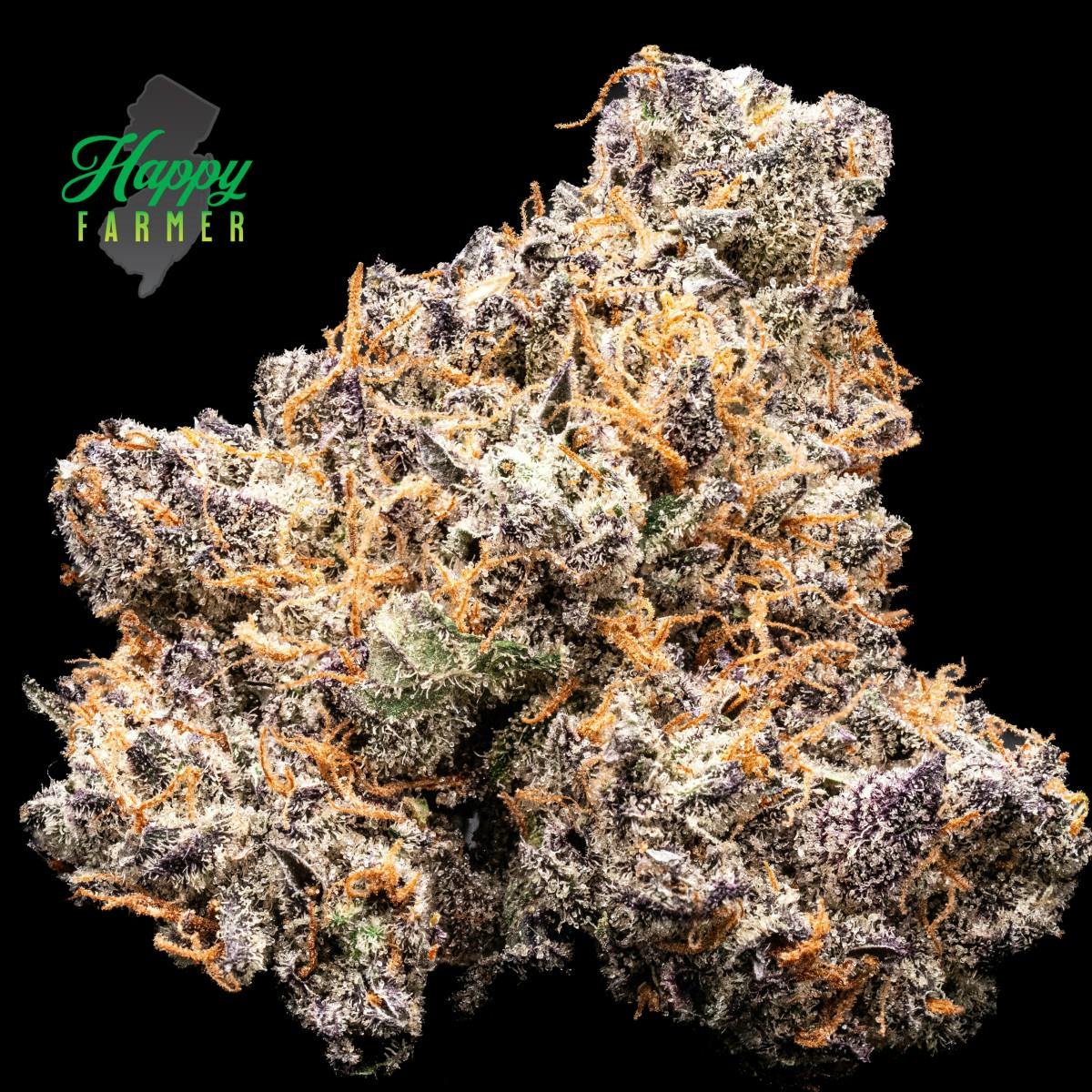 Photograph of product: Happy Farmer - Candied Garlic - 3.5g