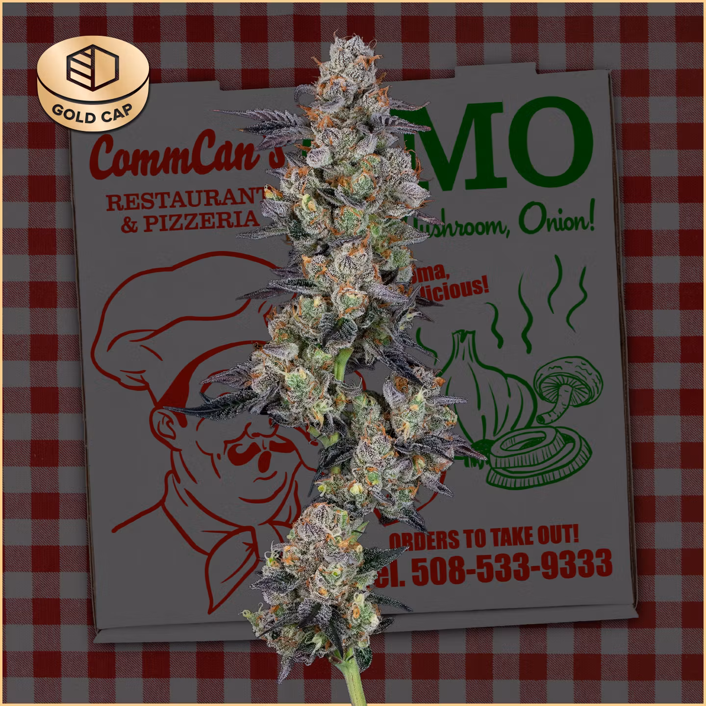Photograph of product: CommCan - Flower 3.5g - GMO