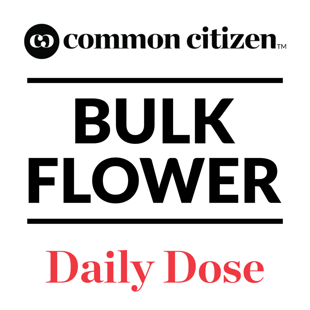 Photograph of product: Common Citizen | Mac N Cheese Bulk Flower - 28g