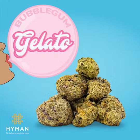 Photograph of product: Hyman | Bubblegum Gelato | 3.5g | Pre-Pack Flower