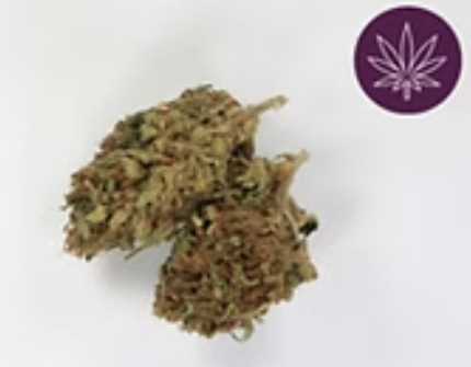Photograph of product: CBD Flower | Lifter 7g