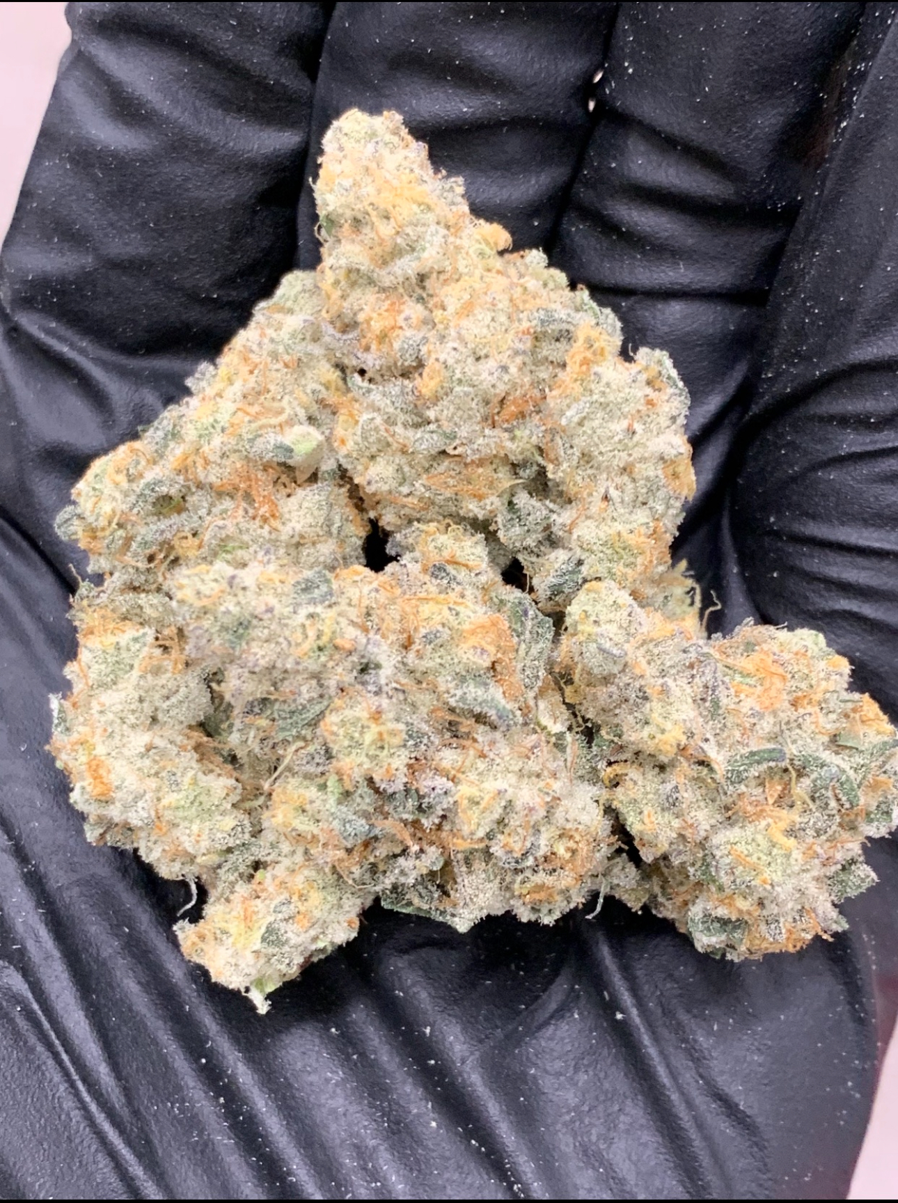 Photograph of product: Flower (Deli-Style) l Cap Junky | Hybrid l New Lyfe - 28g
