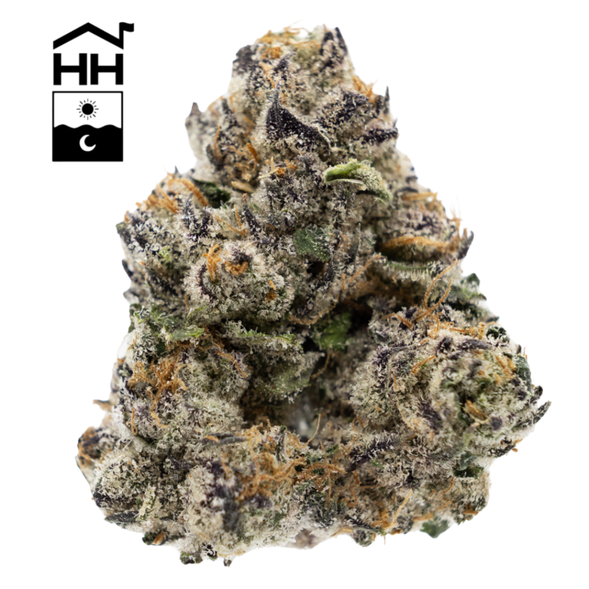 Photograph of product: BigDankLato - 28g