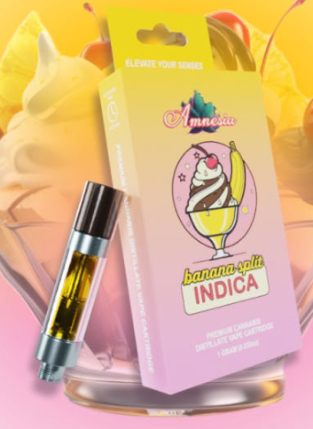Photograph of product: Amnesia: Banana Split 1G Cart