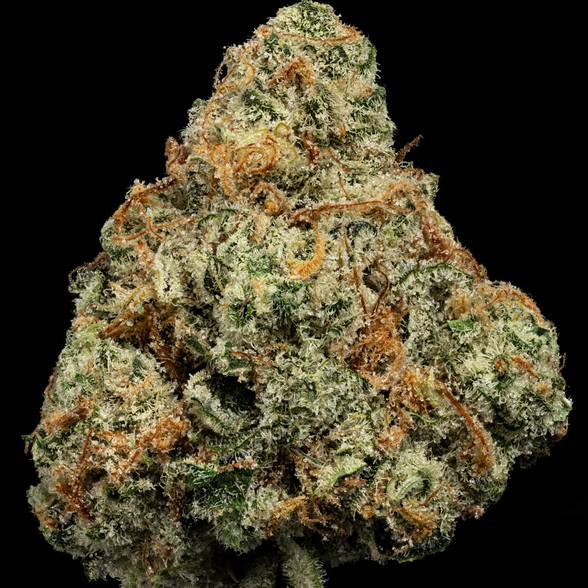 Photograph of product: Flower - Where's My Bike - 3.5g