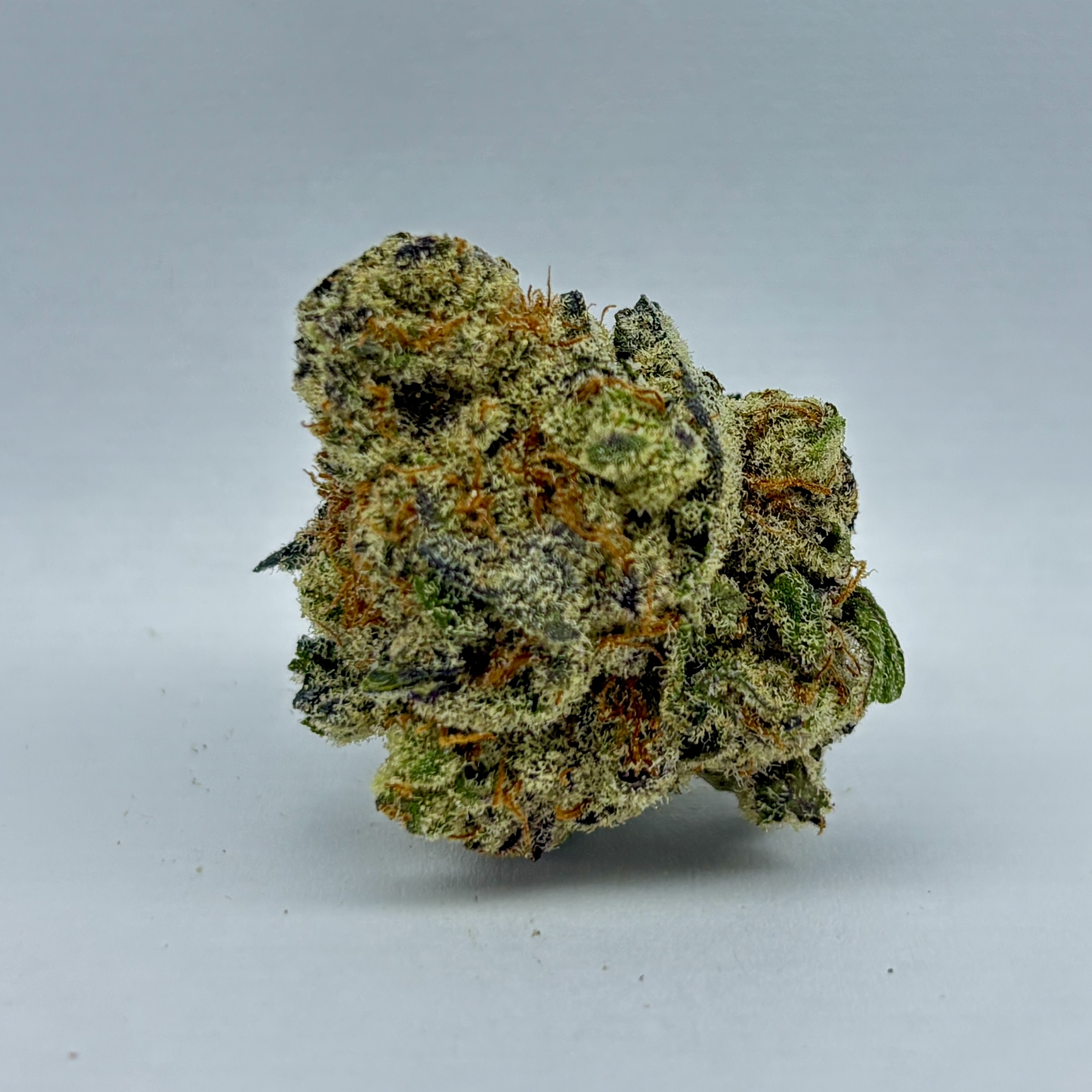 Photograph of product: GlitterBomb-Flower|Oui'd-Dominant|CE - 3.5g