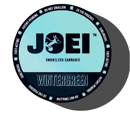 Photograph of product: Wintergreen | Sublingual TH-oui Pouch | 100mg