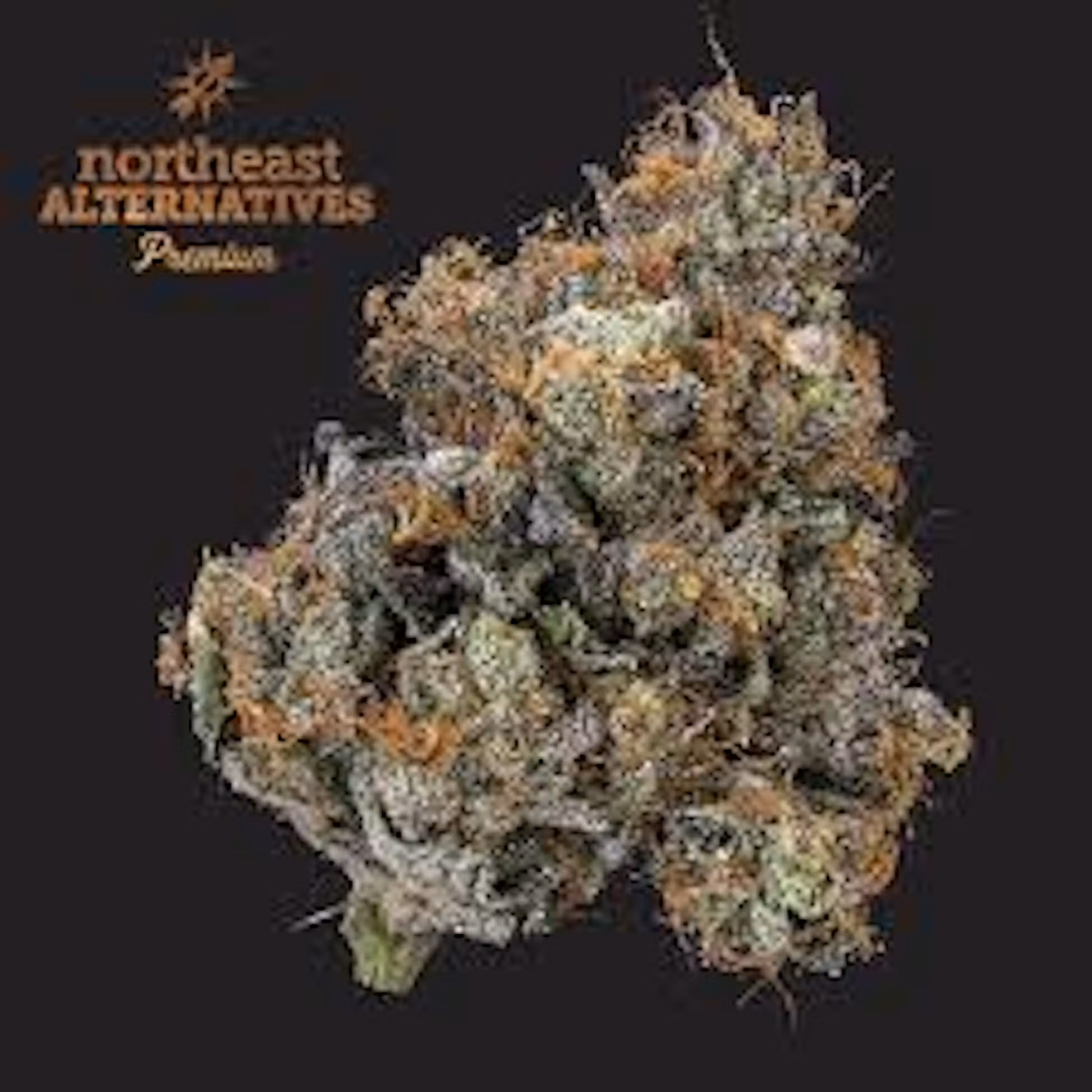 Photograph of product: Northeast Alternatives | Lava Cake | Flower - 3.5g