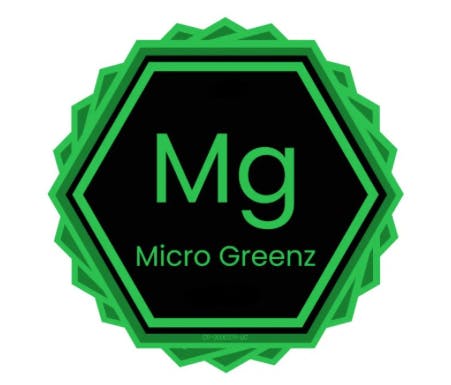 Photograph of product: Kush Mintz x Garlic Cookies 3.5g - 