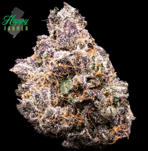 Photograph of product: BOSTON RUNTZ | 3.5G