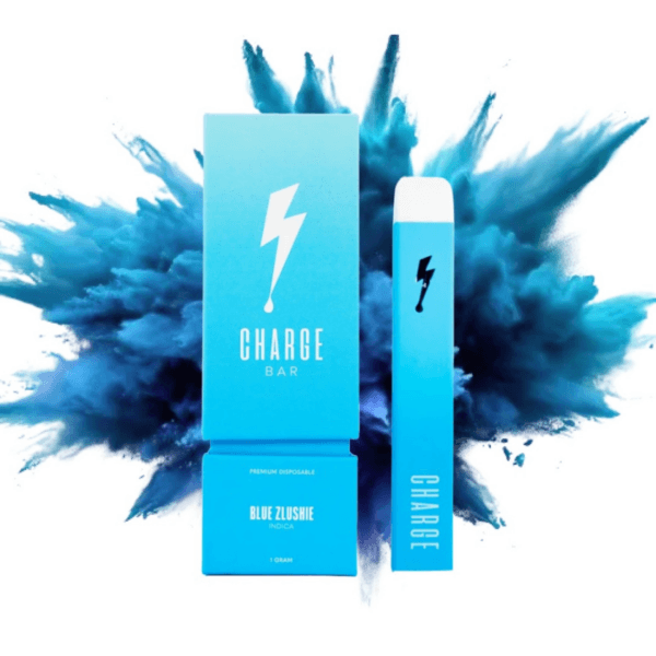 Photograph of product: Blue Zlushie | 1g Disposable Vape