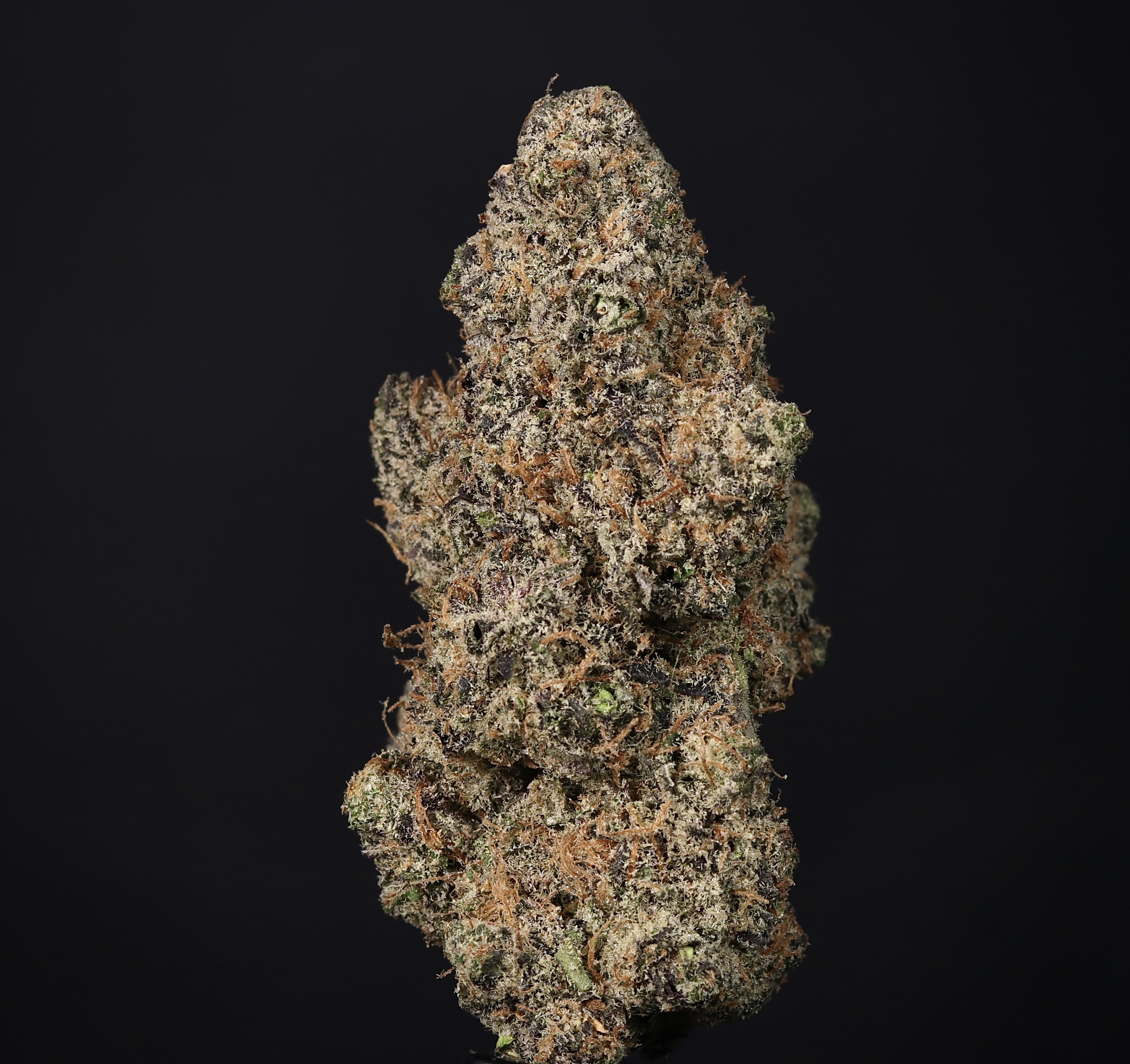 Photograph of product: Meyers Lemon - Landrace Oui'd Co. - 1g