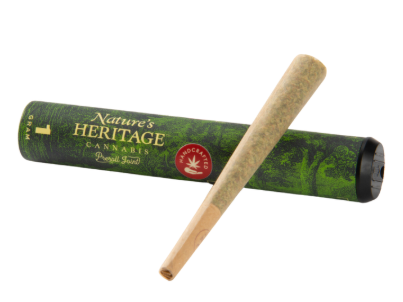 Photograph of product: Governmint Oasis | Preroll | 1g