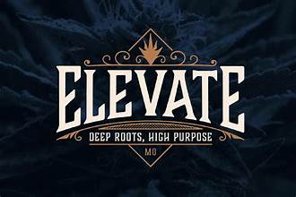 Photograph of product: ELEVATE - THE CHOP 1 GRAM PRE-ROLL