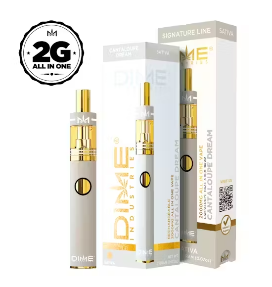 Photograph of product: Dime Cantaloupe Dream 2g Disposable