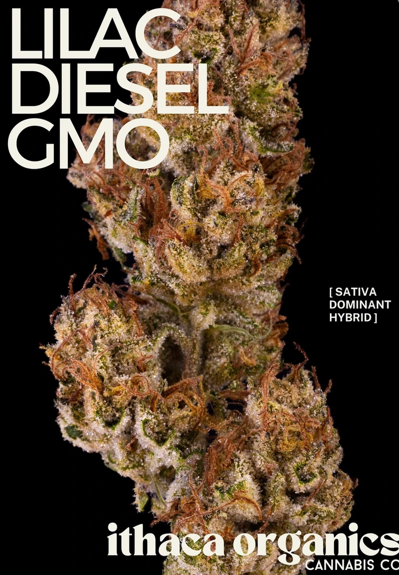 Photograph of Product: Lilac Diesel GMO Sativa-Hybrid | Ithaca Organics - 3.5g