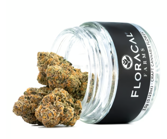 Photograph of product: Floracal | Flower | Morning Dew - 3.5g