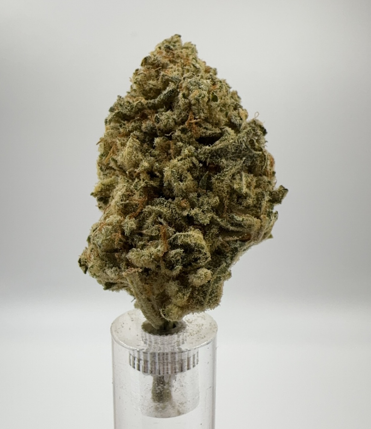 Photograph of product: Great Oui'd | Forbidden Zkittles - 28g