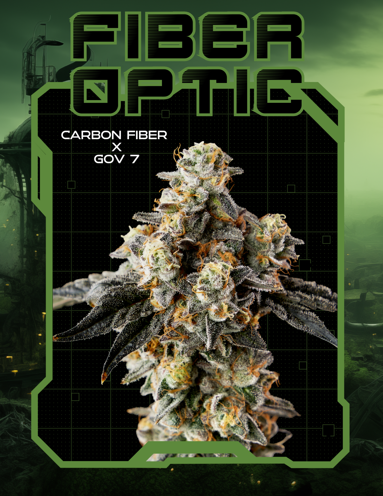 Photograph of product: Fiber Optic - 3.5g