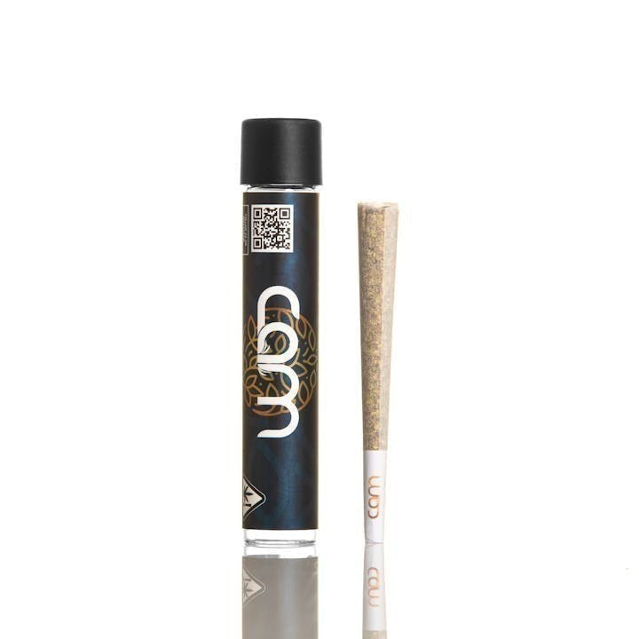 Photograph of product: Cam | Lemon Cherry Gelato Preroll | 1g