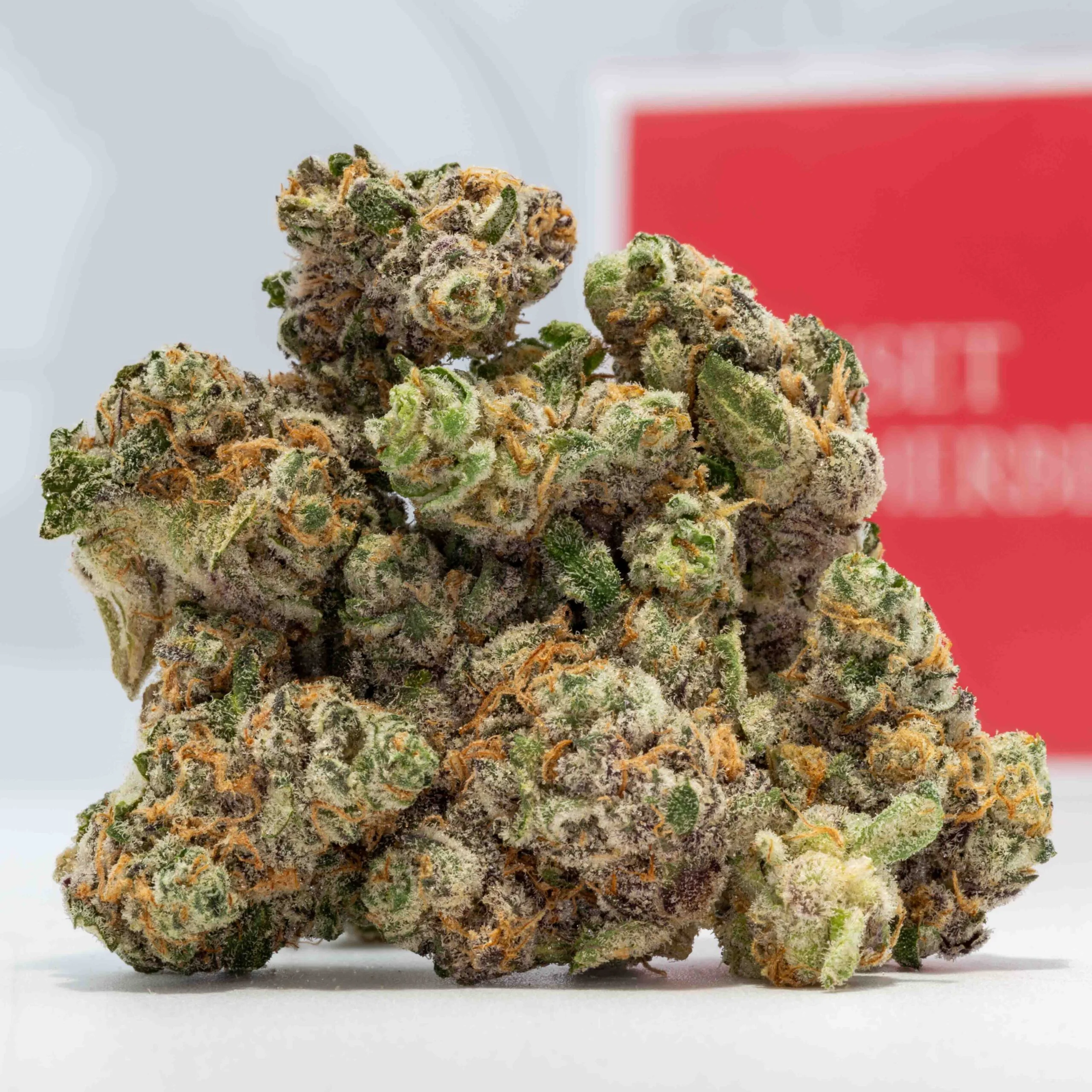 Photograph of product: Labelva Labs - Sherbmint - Bulk Flower - 32g