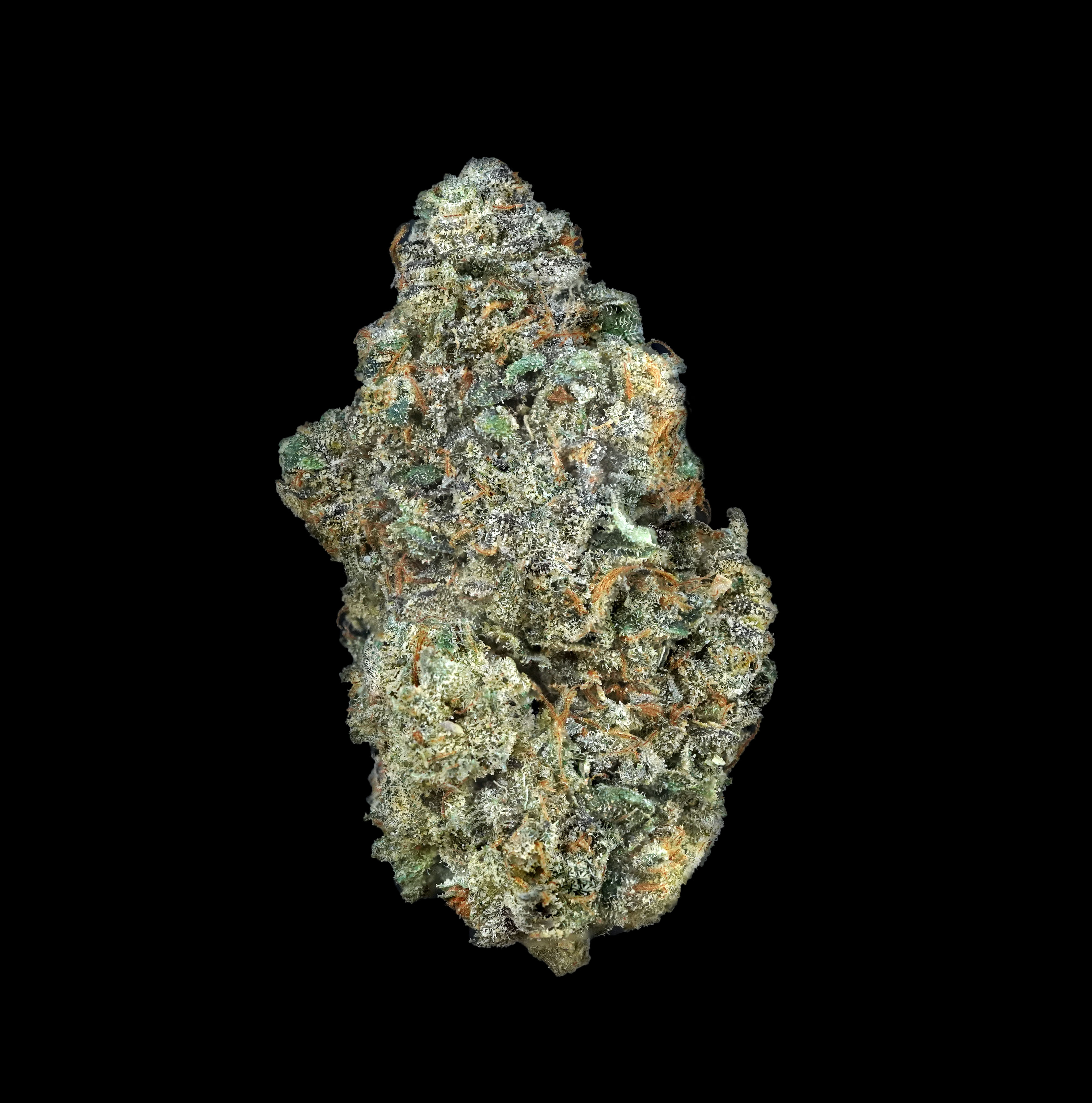 Photograph of product: (BULK) Sherbet Pie - Oui'd - 28g