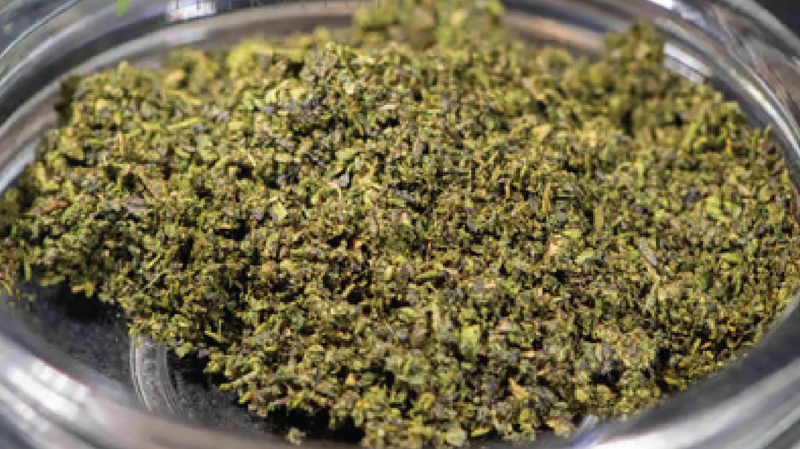 Photograph of product: Dadirri | Infused Shake Jar | 4g | Pound Cake | Hybrid