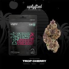 Photograph of product: Uplyfted - Pre-Packaged 8th - Trop Cherry - 3.5g