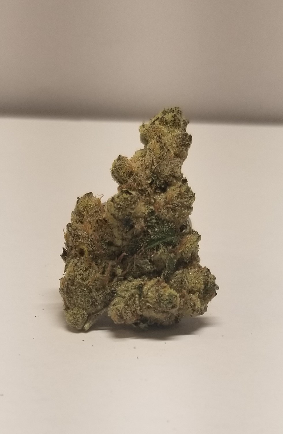 Photograph of product: Rhize Oui'd Company | GMO l Indoor | Bulk - 28g