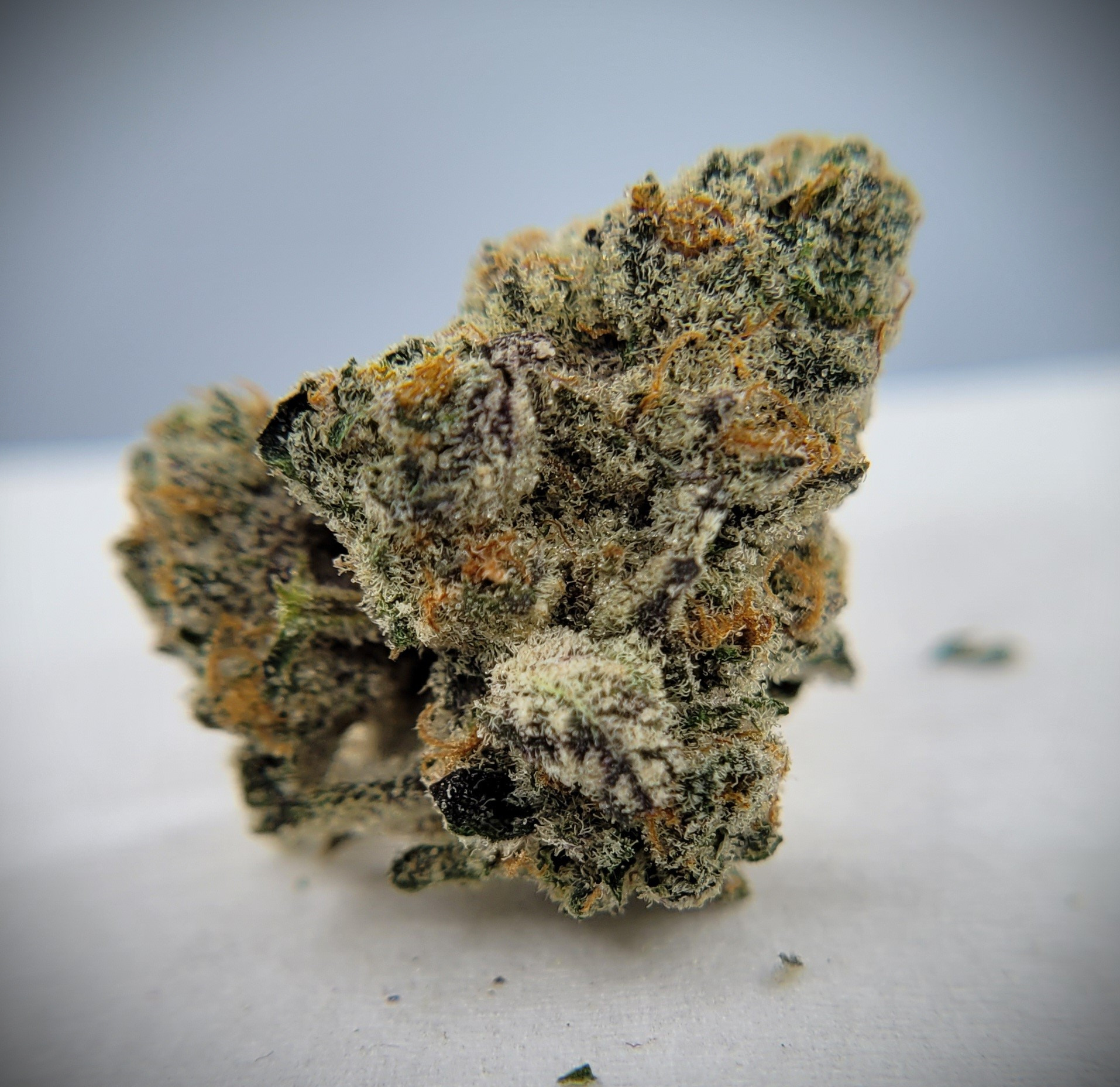 Photograph of product: Grape Dosidos Shake Ounce - 28g