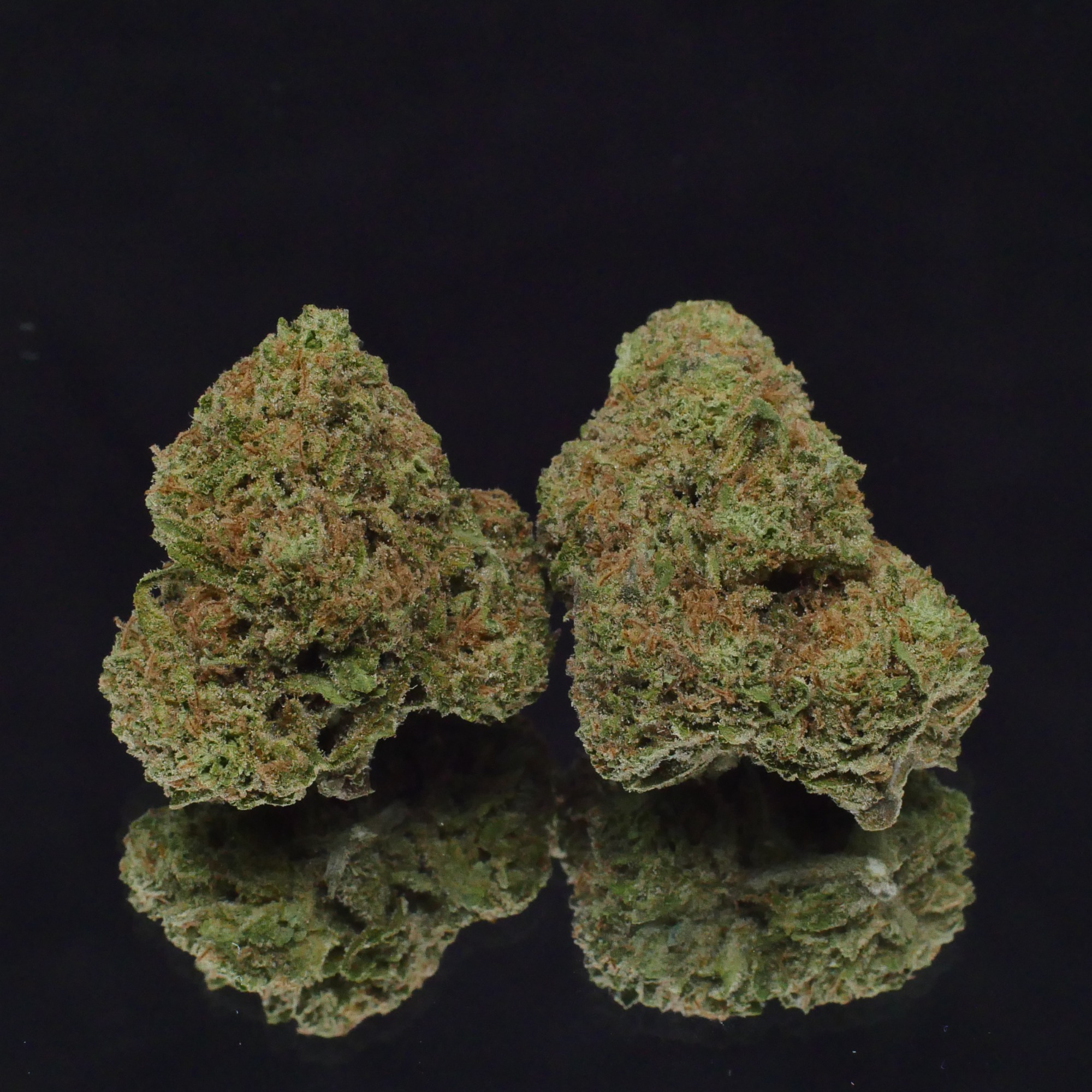 Photograph of product: Blueberry Muffin By Williams Wonder - 28g