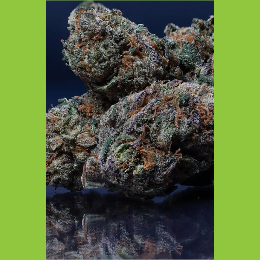 Photograph of product: Mass Yield - Blueberry Cupcake Deli Style Flower - 28g