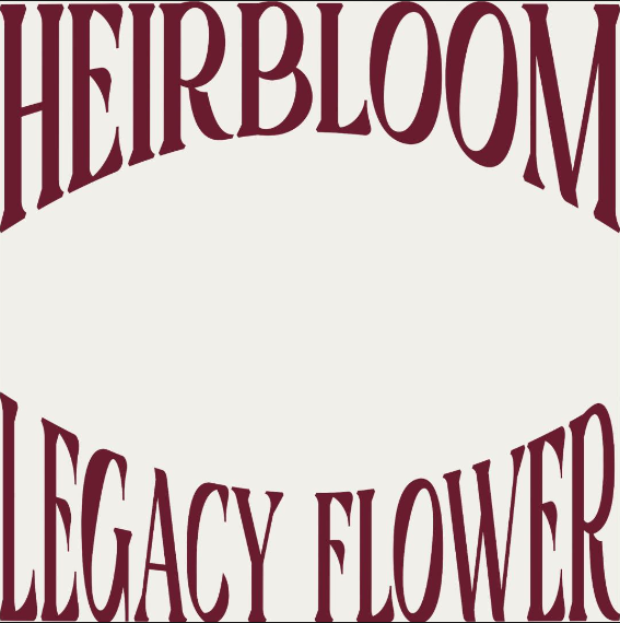 Photograph of product: MOUNT ZEREAL KUSH 1G TERP SUGAR