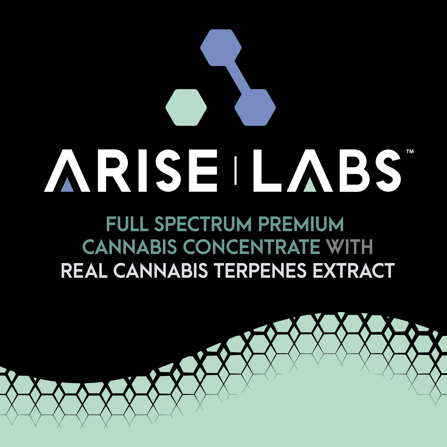 Photograph of product: Arise Labs | Distillate Cart 510 | GMO