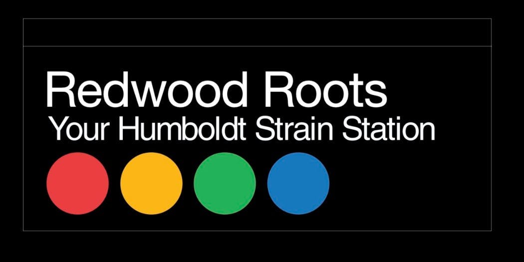 Photograph of product: Redwood Roots - Govt Oasis (3.5g) - 3.5 grams