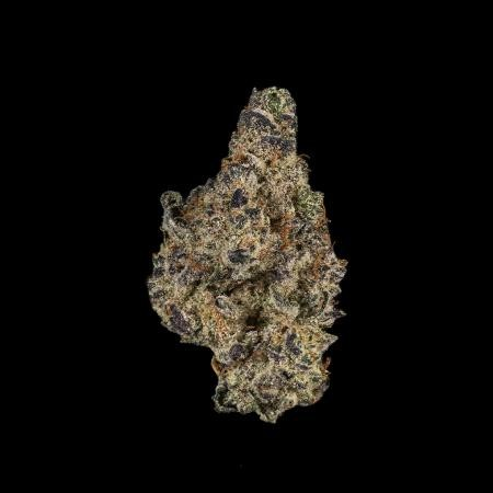 Photograph of product: GMO - Pre-roll