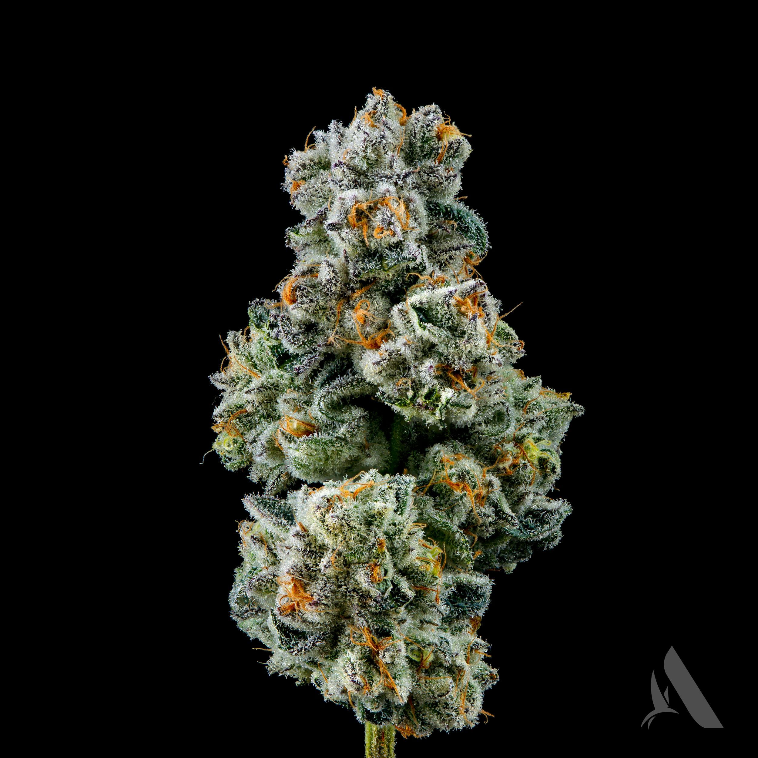 Photograph of product: Affinity Flower 3.5g Space Mints (H)