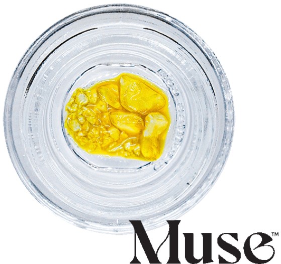 Photograph of product: Muse | Ms Universe | 0.5g Live Diamonds | Oui'd