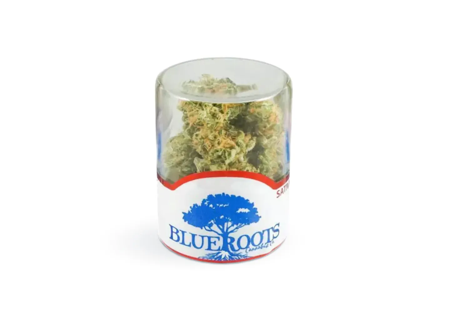 Photograph of product: Blue Roots - Purple Tangie 3.5g