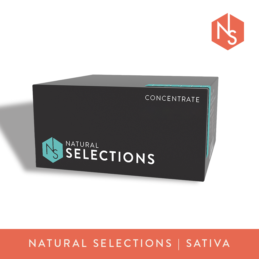 Photograph of product: Natural Selections Super Lemon Haze Live Resin Badder 1g