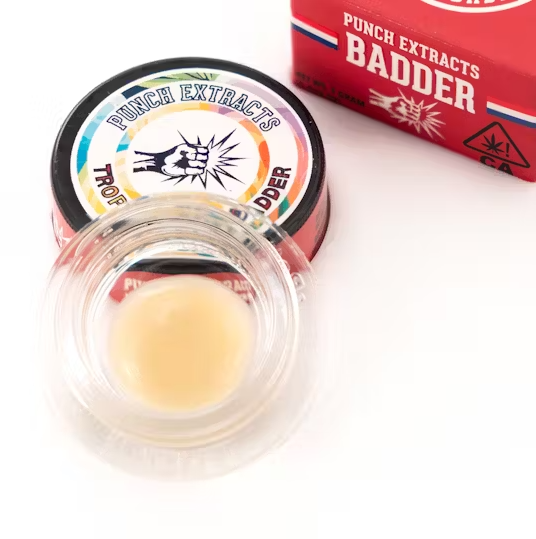 Photograph of product: Punch Extracts Gush Mintz BHO Badder (I) 1g