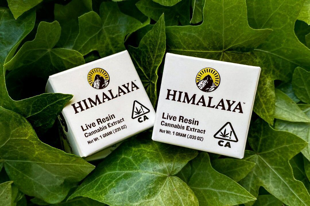 Photograph of product: Himalaya P-85 Live Resin