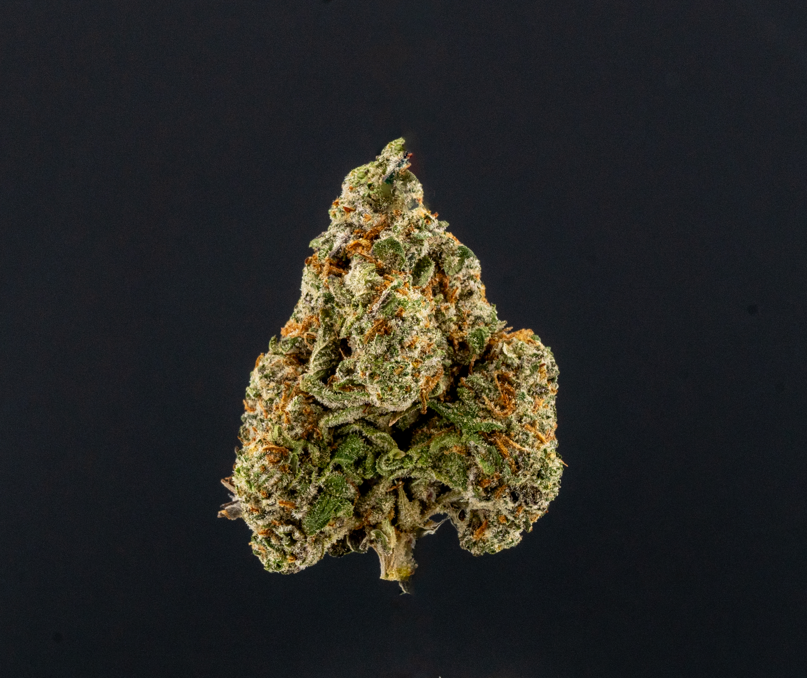 Photograph of product: Tarot Tokes - Blue Ice Flower - 3.5g